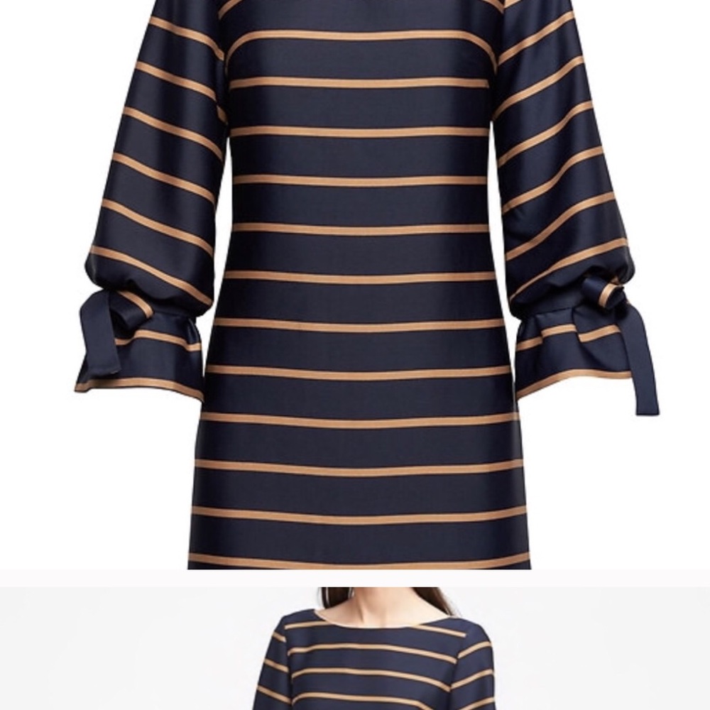 BR navy striped long sleeve dress